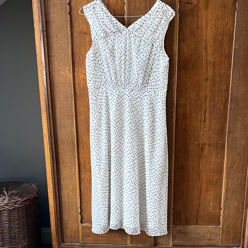 Maggy London Ivory and Navy Dotted Midi Dress